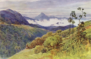 Morning Mists in the Valley of the Mahawelli Gangha