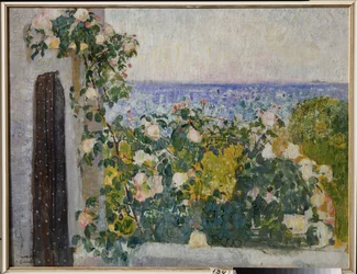 Flowers on the balcony in Rome (Italy)
