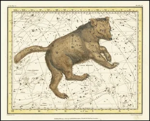 1822 - Ursa Major