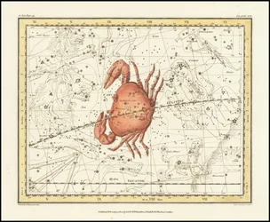 1822 - Cancer