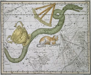 Hydra, from 
