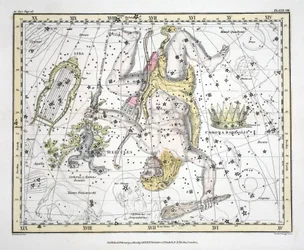 The Constellations (Plate VIII) Coronoa Borealis, Hercules and Cerberus, Lyra, from 