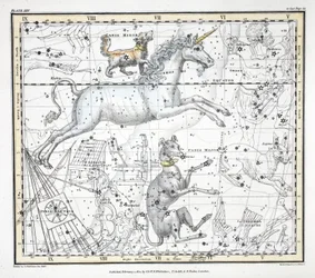 The Constellations (Plate XXV) Canis Major, Canis Minor, Monoceros, Argo Navis, l
