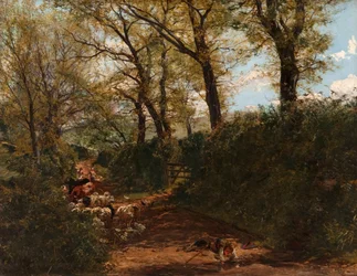 Spring Sunshine: A Lane Near Melrose