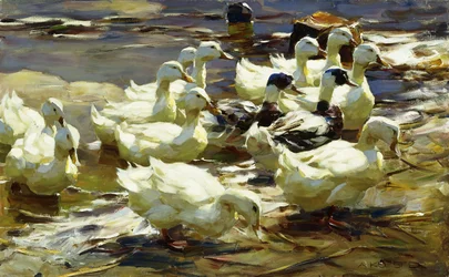 Ducks in the Pond