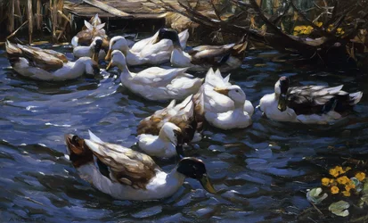 Ducks in the Reeds under the Boughs
