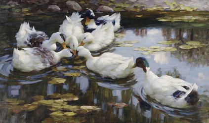 The Duck Pond