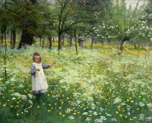Picking up Silver and Gold, 1906