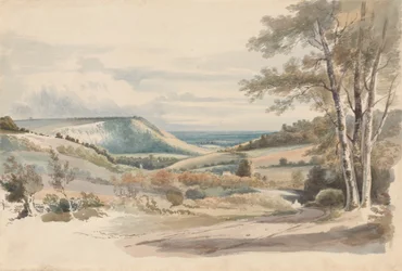 Boxhill from West Humble Lane