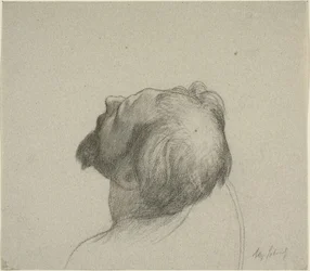 Study of Man