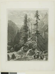 Alpine Landscape