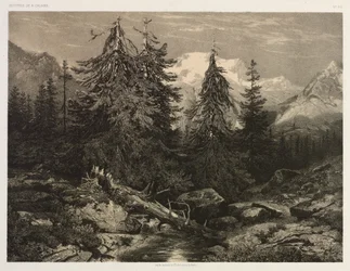 Alpine Stream