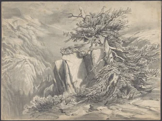 Broken Tree in Mountainous Landscape