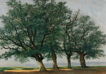 Four Large Trees