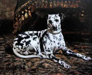 Portrait of a Dalmatian