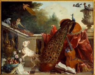 Animals, Flowers and Fruits