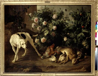 Dog keeping game near a bush of roses