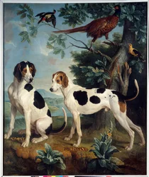 Pompee and Florissant, the dogs of Louis XIV (1638-1715). Painting by François Desportes (1661-1743)