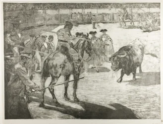 Bull-Fight