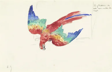 Parrot Looking Down