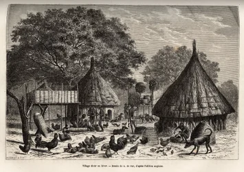 Village Diour in winter (Sudan) and daily activities of the inhabitants in the middle of animals brought up by the community, engraving after the drawing of A. de Bar, illustrating the journey to the heart of Africa in 1868-1871, by Dr. Georges Schweinfurt