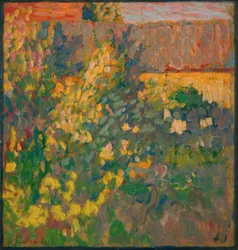 Blooming Garden