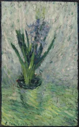 Hyacinth
