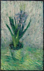 Hyacinth