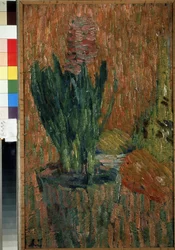 Still Life. Flower in a Pot on a Corner of a Table