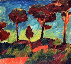 Pines in Prerow