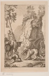 The Young Lion and the Monkey