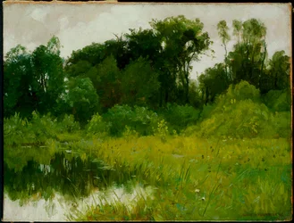 After Rain, on Minnehaha Creek
