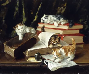 Kittens Playing on Desk