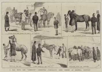 A Day with the Remount Committee, purchasing Army Horses at Redhill, Edgware