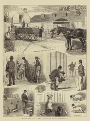 Home for Lost and Starving Dogs, Battersea