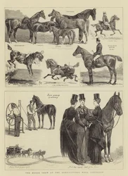 The Horse Show at the Agricultural Hall, Islington