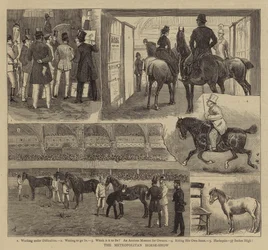 The Metropolitan Horse-Show