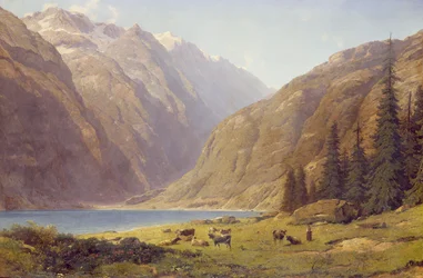 Unknown Image