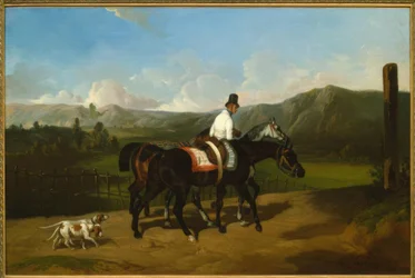 Horse Promenade