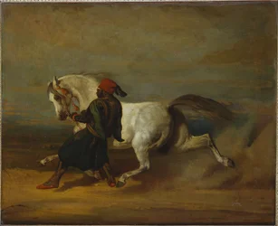 The Pasha