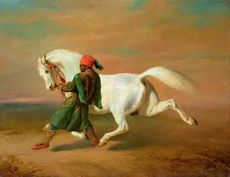 Unknown Image