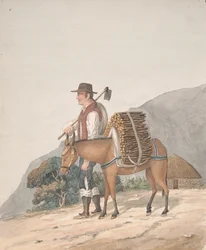 Firewood Seller, Tenerife