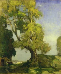 Summer Landscape