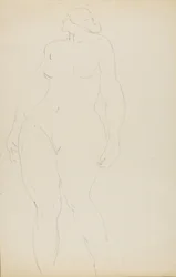 Standing Nude