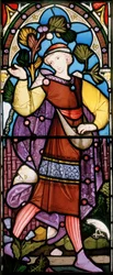 The Sower