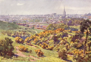 Norwich from Mousehold Heath, Norfolk