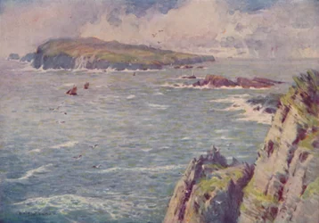 The Calf of Man