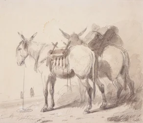 Mule Equipment, c.1837