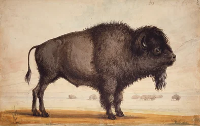 Scenting the Breeze, c.1837