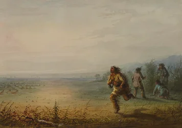 The Bee Hunter
